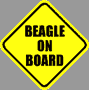  Beagles on Board 