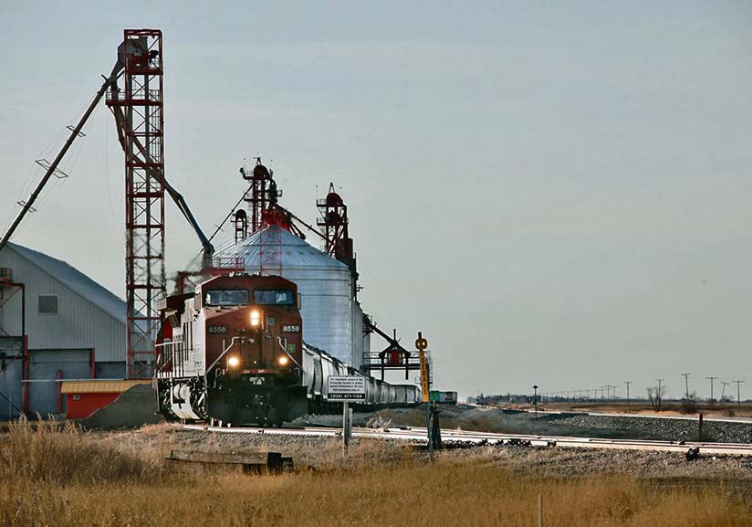 A grain train being loaded.