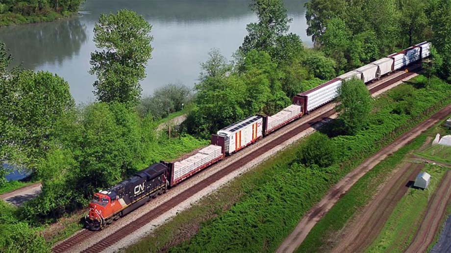 A CN freight train.